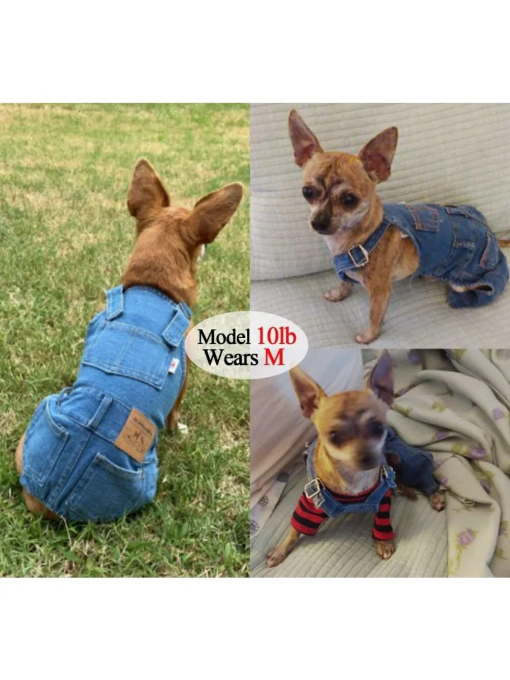 Stylish Dog Overalls for Small Dogs | Denim Outfit for French Bulldog & Pug